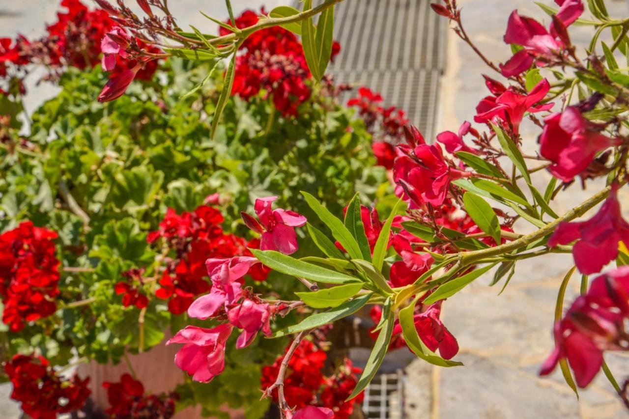 Agioi Anargyroi  Emilia'S Little Farmhouses מראה חיצוני תמונה